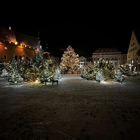 Private F In The Old Town Privat bolig